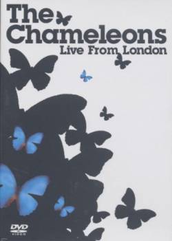 The Chameleons : Live from London